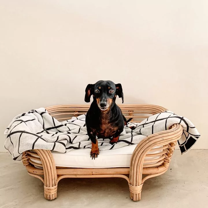 Paws Pet Bed - Small - Image 2