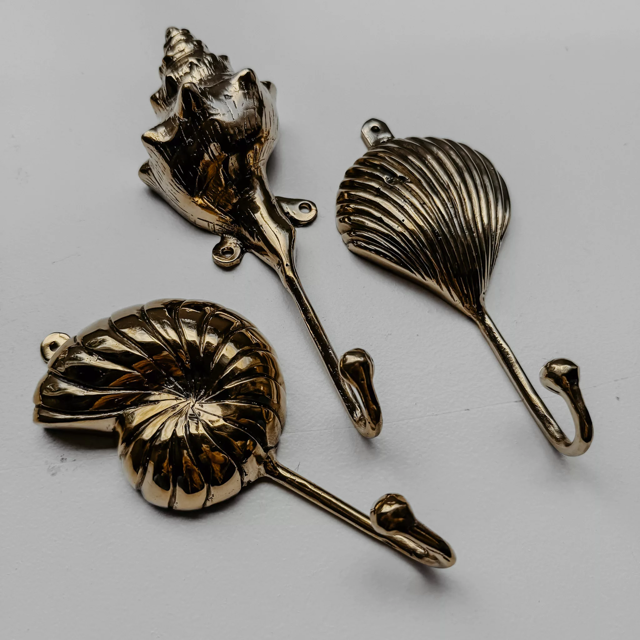BRASS NAUTULIS HOOK - Image 3