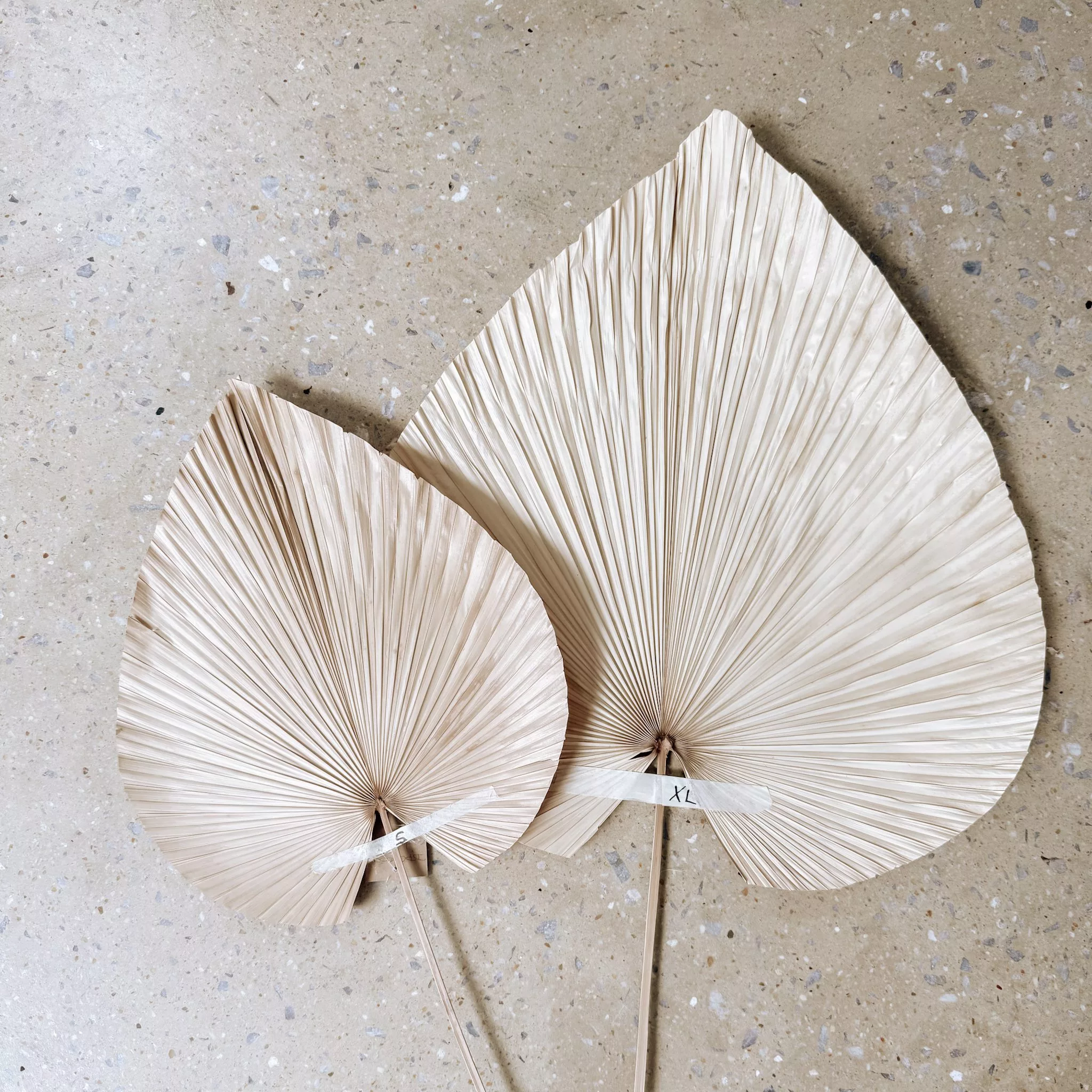 DECORATIVE DRIED LEAVES